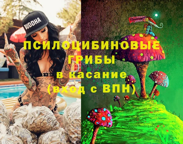 спайс Богданович